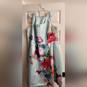 Dress Barn, 22w, baby blue, floral